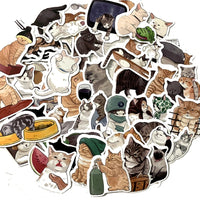 Mystery Sticker - Meme Cat Sticker