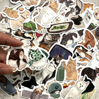 Mystery Sticker - Meme Cat Sticker